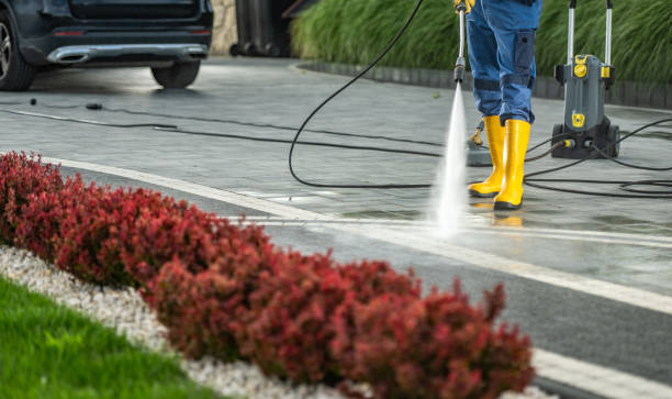 Best Dumpster Area Cleaning  in Town Creek, AL